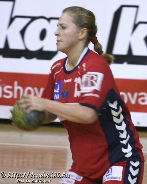 Vasas_ifi-Alcoa_ifi_39-28_20080206_04