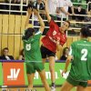 FTC-Veszprem_38-31_20110115_15