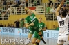 FTC-Siofok40-23_20131106_16