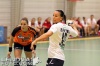 Kispest-Erd_30-47_20170503_31