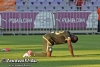 Ujpest-FTC_2-1_20120819_77