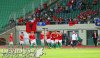 HUN-ALB_1-0_20140604_54