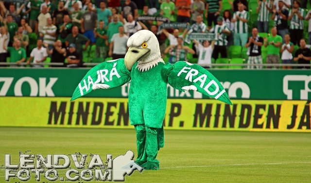 FTC-Ujpest_5-6_20140804_13